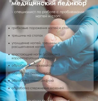 Kukartseva studio