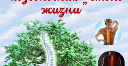 Открыт набор на курс "Позвоночник - столб жизни"